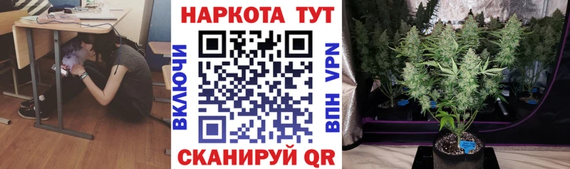 Как найти наркотики Саров Кодеин Гашиш