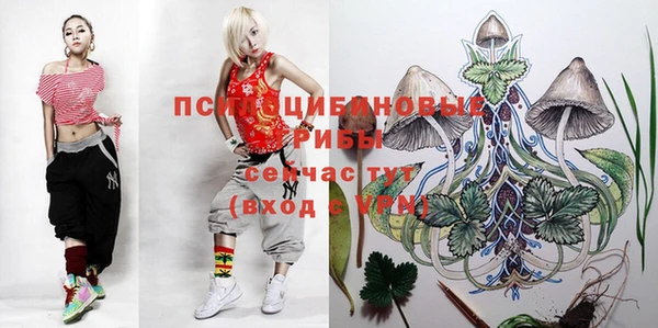 прущая мука Алзамай